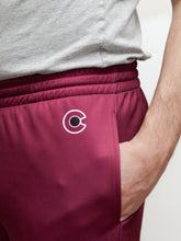 Load image into Gallery viewer, Colorado Avalanche Hockey Jogger Pants