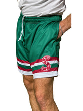 Load image into Gallery viewer, Seattle Metropolitans Hockey Shorts
