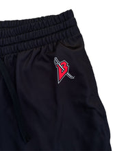 Load image into Gallery viewer, Buffalo Sabres &quot;Goathead&quot; Alternate Hockey Jogger Pants
