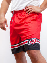 Load image into Gallery viewer, Carolina Hurricanes Mesh Hockey Shorts
