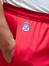 Load image into Gallery viewer, Florida Panthers Mesh Hockey Shorts
