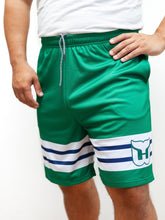 Load image into Gallery viewer, Hartford Whalers Retro Alternate Mesh Hockey Shorts
