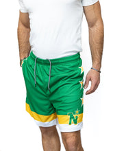 Load image into Gallery viewer, Minnesota North Stars Retro Alternate Mesh Hockey Shorts
