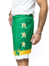 Load image into Gallery viewer, Minnesota North Stars Retro Alternate Mesh Hockey Shorts
