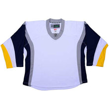 Load image into Gallery viewer, Buffalo Sabres Hockey Jersey - TronX DJ300 Replica Gamewear
