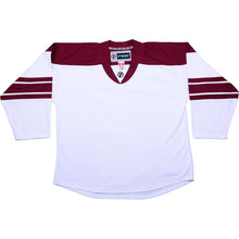 Load image into Gallery viewer, Phoenix Coyotes Hockey Jersey - TronX DJ300 Replica Gamewear
