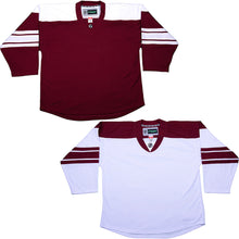Load image into Gallery viewer, Phoenix Coyotes Hockey Jersey - TronX DJ300 Replica Gamewear
